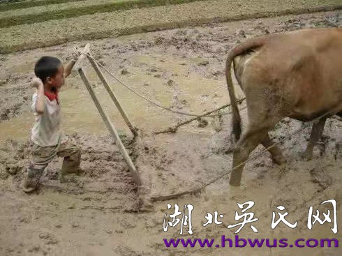 吳風壽所見到的新中國 吳風壽所見到的新中國