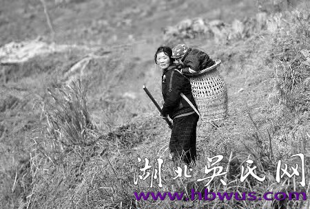 【外婆的背簍】