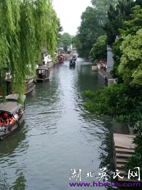 吳風(fēng)壽與老伴游蘇州