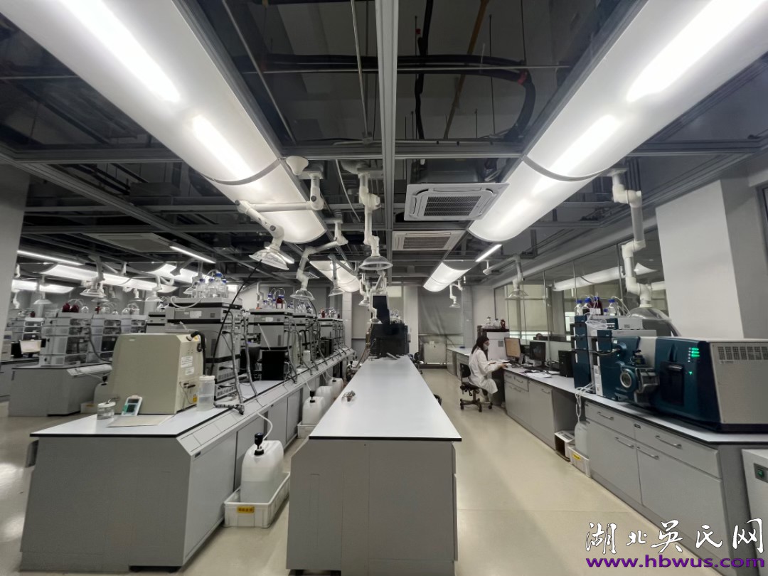 世吳主席一行到湖北大冶參觀勁牌集團