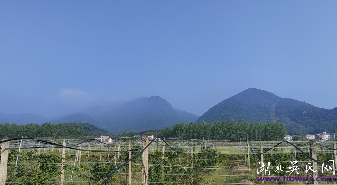 吳合林會長一行對金色莊園進(jìn)行視察調(diào)研