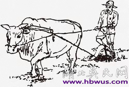 吳高煌:兒童團長、赤衛(wèi)隊長、生產(chǎn)隊長 吳高煌:兒童團長、赤衛(wèi)隊長、生產(chǎn)隊長