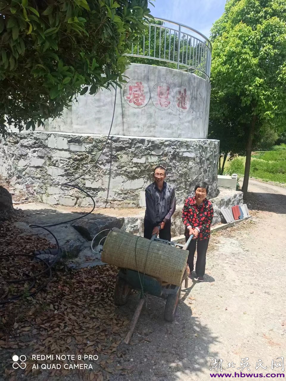 吳開芹：此心安處是吾鄉(xiāng)