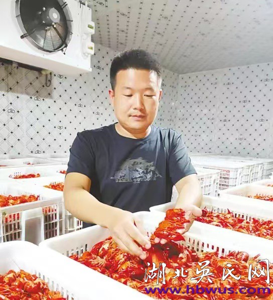 荊州放曹坡水產(chǎn)生物科技有限公司總經(jīng)理吳涵——做大龍蝦產(chǎn)業(yè) 助力鄉(xiāng)村振興