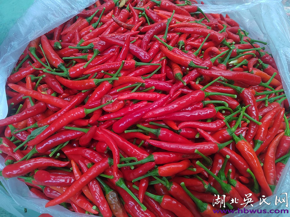 熱烈祝賀湖北華鯤農(nóng)業(yè)科技有限公司開工大吉