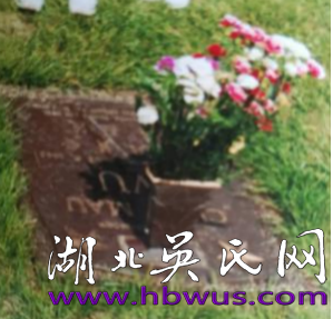 大別山地區(qū)始遷祖吳萬七支系歷代名人簡(jiǎn)述之九