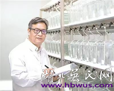 1736053016418775.jpg f46231800eb5a3472b146ba39bd5f6b.jpg