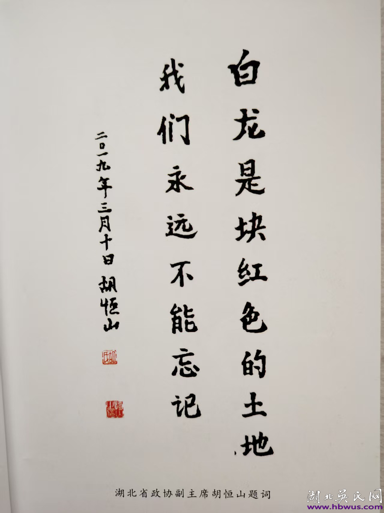 繼承先烈遺志    建設(shè)紅色土地 ——黃潭鎮(zhèn)白龍寺村民清明節(jié)自發(fā)祭祀革命烈士