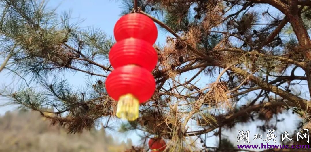吳大升：乙巳首日，我們爺仨登上了磨基山頂